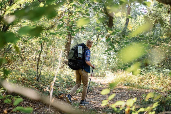 Joven disfrutando de senderismo solo con bastones nórdicos en el bosque —  Fotos de Stock