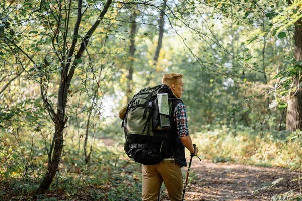 Joven disfrutando de senderismo solo con bastones nórdicos en el bosque —  Fotos de Stock