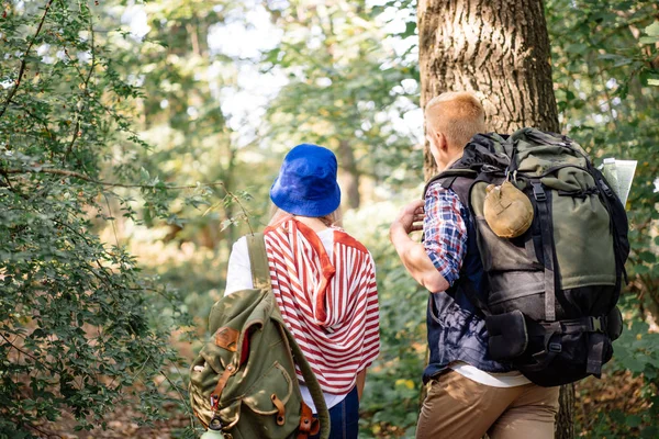 Backshot de pareja joven dando un paseo por el bosque en la caminata — Foto de Stock