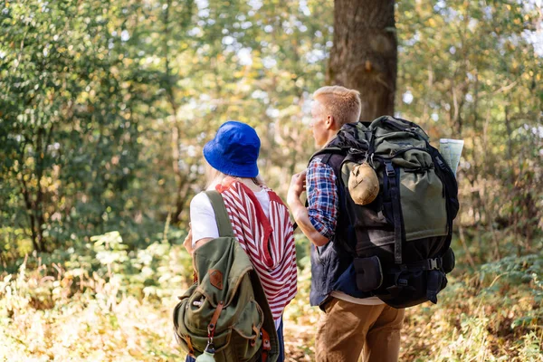 Backshot genç çift üzerinde zam ormanda yürüyüşe sahip — Stok fotoğraf