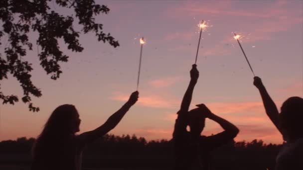 Happy přátelé těší venkovní calebration s jiskří při západu slunce — Stock video