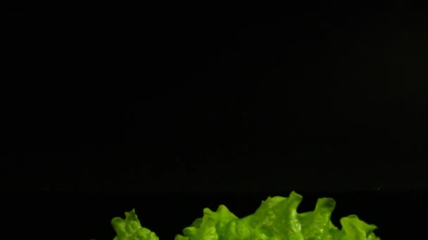 Kommerzielle Verpackung von Riesengarnelen, Zitrone und frischem Salat auf schwarzem Hintergrund — Stockvideo