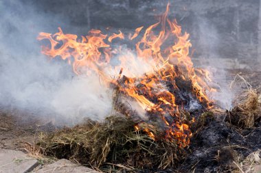 Bir şenlik ateşi için için yanan külleri. Akkor turuncu ve kırmızı köz doku. Koyu arka plan. Alev ateş etmek ve yakacak odun, Tuğla Barbekü. Dışarıda yemek yemek için bir yer.