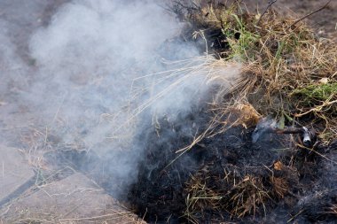Bir şenlik ateşi için için yanan külleri. Akkor turuncu ve kırmızı köz doku. Koyu arka plan. Alev ateş etmek ve yakacak odun, Tuğla Barbekü. Dışarıda yemek yemek için bir yer.