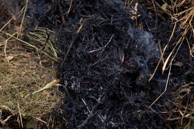 Bir şenlik ateşi için için yanan külleri. Akkor turuncu ve kırmızı köz doku. Koyu arka plan. Alev ateş etmek ve yakacak odun, Tuğla Barbekü. Dışarıda yemek yemek için bir yer.