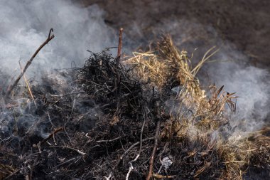 Bir şenlik ateşi için için yanan külleri. Akkor turuncu ve kırmızı köz doku. Koyu arka plan. Alev ateş etmek ve yakacak odun, Tuğla Barbekü. Dışarıda yemek yemek için bir yer.