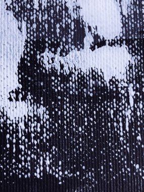 Siyah ve beyaz el çekilmiş akrilik boya.