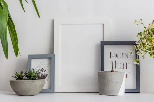 Marco de fotos de madera blanca con cactus en una olla y margaritas — Foto de Stock