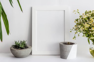 Bir tencerede kaktüs ve papatyalar ile beyaz ahşap fotoğraf çerçevesi