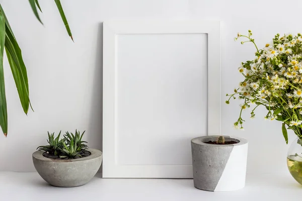 Biała drewniana ramka na zdjęcia z kaktusami w garnku i stokrotki — Zdjęcie stockowe