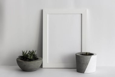 Ön planda kaktüs ile beyaz ahşap fotoğraf çerçevesi