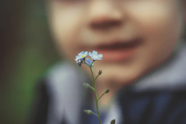 En liten pojke som håller en plockad blomma — Stockfoto