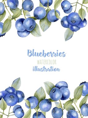 Beyaz bir arka plan üzerinde kart şablonu suluboya yaban mersini dalları, çerçeve kenarlık arka plan, el ile boyalı