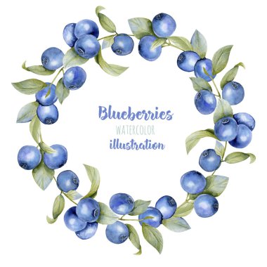 Sulu boya yaban mersini dalları çelenk, çerçeve kenarlığı, el boyalı beyaz bir arka plan üzerinde