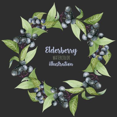 Suluboya mürver dalları çelenk, çerçeve kenarlığı, el boyalı karanlık bir arka plan üzerinde