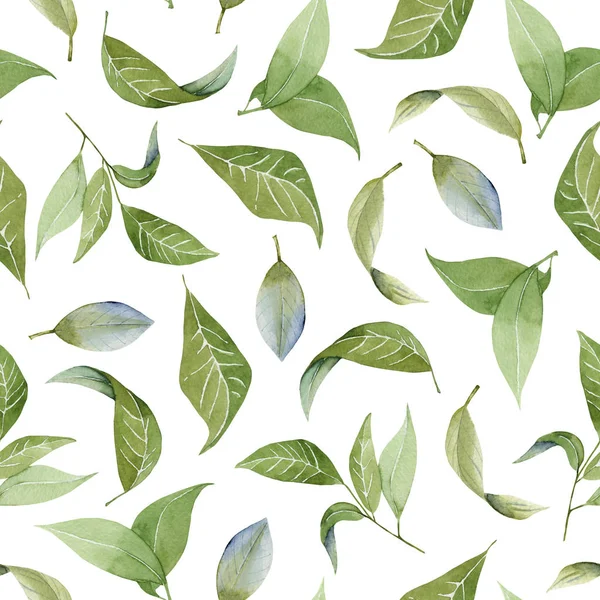 无缝花纹水彩绿色的叶子 手绘孤立在白色背景上 — 图库照片