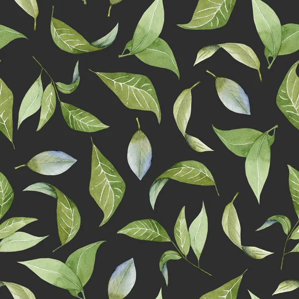 Απρόσκοπτη Floral Μοτίβο Ακουαρέλα Πράσινα Φύλλα Χέρι Που Απομονώνονται Σκούρο — Φωτογραφία Αρχείου
