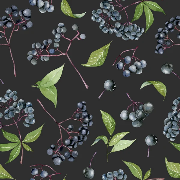 Elderberries 无缝图案 手绘深色背景 — 图库照片