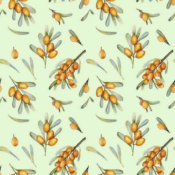 Suluboya Deniz topalak çilek seamless modeli, el boyalı açık yeşil arka planı üzerinde