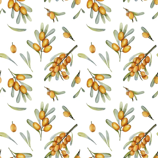 Suluboya Deniz topalak çilek seamless modeli, el boyalı beyaz bir arka plan üzerinde