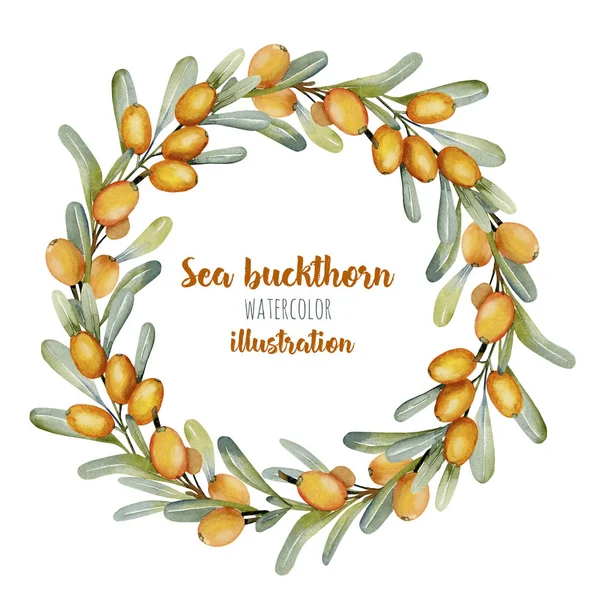 Watercolor sea buckthorn branches wreath, frame border, hand painted on a white background