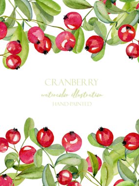 Beyaz bir arka plan üzerinde kart şablonu suluboya kızılcık, çerçeve kenarlığı, el ile boyalı