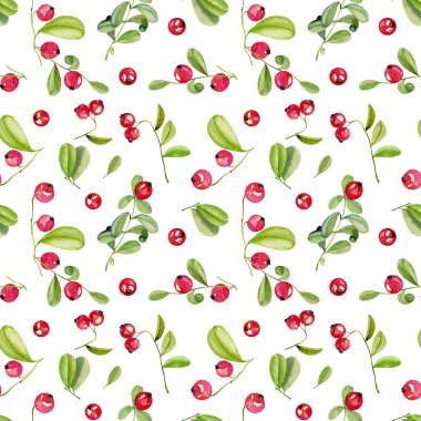 Suluboya kızılcık seamless modeli, el boyalı beyaz bir arka plan üzerinde