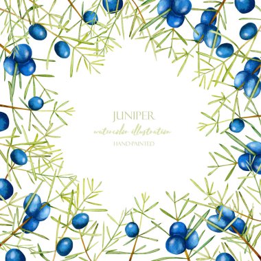 Beyaz bir arka plan üzerinde kart şablonu suluboya ardıç dalları, çerçeve kenarlığı, el ile boyalı