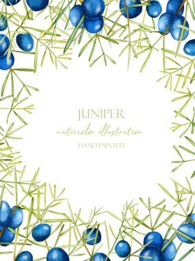 Beyaz bir arka plan üzerinde kart şablonu suluboya ardıç dalları, çerçeve kenarlığı, el ile boyalı