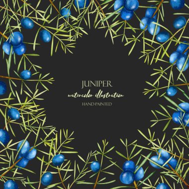 Karanlık bir arka plan üzerinde kart şablonu suluboya ardıç dalları, çerçeve kenarlığı, el ile boyalı