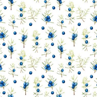 Suluboya ardıç dalları seamless modeli, el boyalı beyaz bir arka plan üzerinde