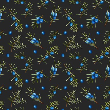 Suluboya ardıç dalları seamless modeli, el boyalı karanlık bir arka plan üzerinde