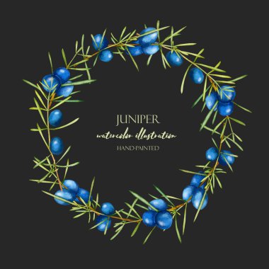 Suluboya ardıç dalları çelenk, çerçeve kenarlığı, el boyalı karanlık bir arka plan üzerinde