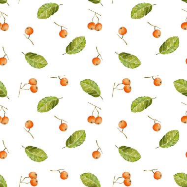 Suluboya üvez meyveleri ve seamless modeli, yaprakları el boyalı beyaz bir arka plan üzerinde