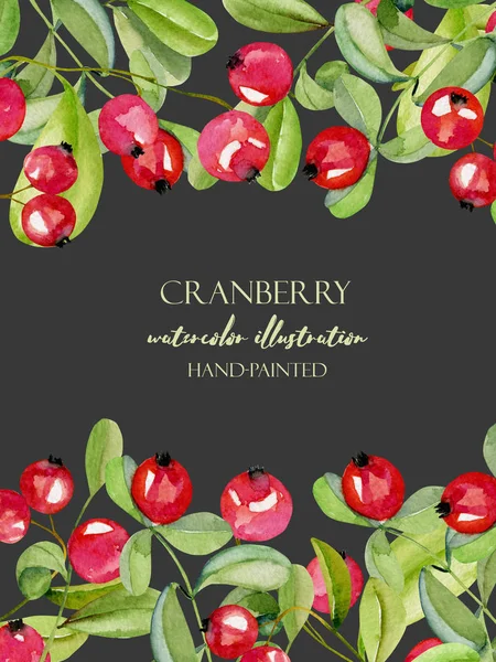 Karanlık bir arka plan üzerinde kart şablonu suluboya kızılcık, çerçeve kenarlığı, el ile boyalı