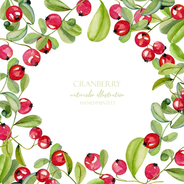 Beyaz bir arka plan üzerinde kart şablonu suluboya kızılcık, çerçeve kenarlığı, el ile boyalı