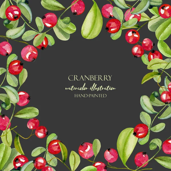 Karanlık bir arka plan üzerinde kart şablonu suluboya kızılcık, çerçeve kenarlığı, el ile boyalı