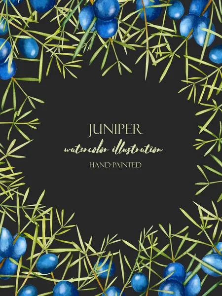 Karanlık bir arka plan üzerinde kart şablonu suluboya ardıç dalları, çerçeve kenarlığı, el ile boyalı