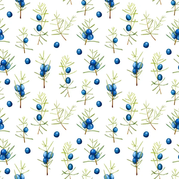 Suluboya ardıç dalları seamless modeli, el boyalı beyaz bir arka plan üzerinde