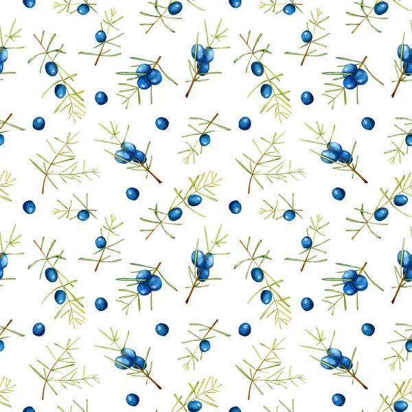 Suluboya ardıç dalları seamless modeli, el boyalı beyaz bir arka plan üzerinde