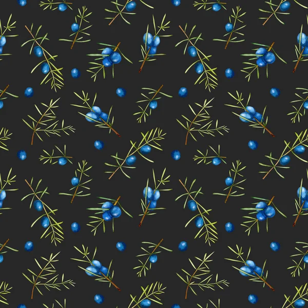 Suluboya ardıç dalları seamless modeli, el boyalı karanlık bir arka plan üzerinde