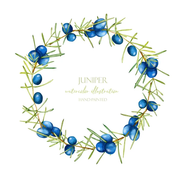 Suluboya ardıç dalları çelenk, çerçeve kenarlığı, el boyalı beyaz bir arka plan üzerinde