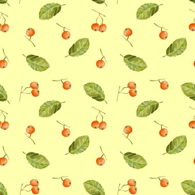 Suluboya üvez meyveleri ve seamless modeli, yaprakları el boyalı sarı bir arka plan üzerinde