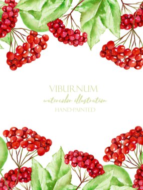 Beyaz bir arka plan üzerinde kart şablonu suluboya kartopu dalları, çerçeve kenarlığı, el ile boyalı