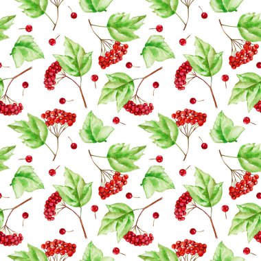 Suluboya kartopu dalları seamless modeli, el boyalı beyaz bir arka plan üzerinde