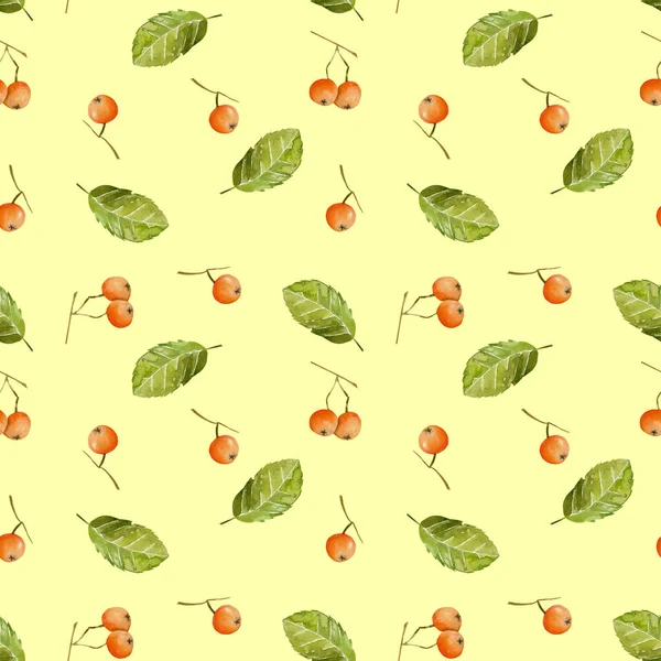 Suluboya üvez meyveleri ve seamless modeli, yaprakları el boyalı sarı bir arka plan üzerinde