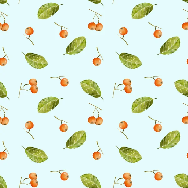 Suluboya üvez meyveleri ve seamless modeli, yaprakları el boyalı mavi bir arka plan üzerinde