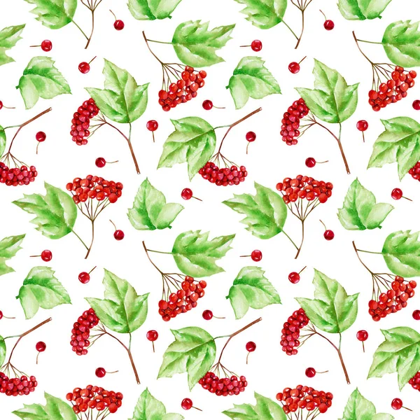 Suluboya kartopu dalları seamless modeli, el boyalı beyaz bir arka plan üzerinde