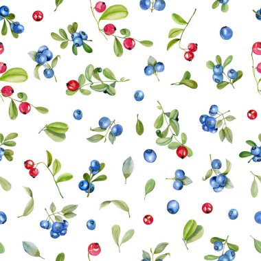 Beyaz bir arka plan üzerine boyalı el suluboya kızılcık ve yaban mersini seamless modeli,