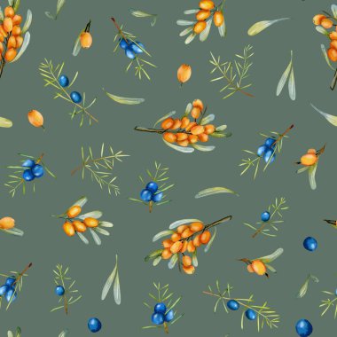 Suluboya ardıç ve deniz cehri dalları seamless modeli, el boyalı gri bir arka plan üzerinde